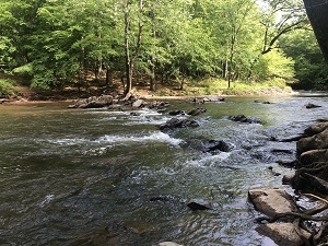 Nature Hike & Scouting Info Session @ Eno River State Park Shelter