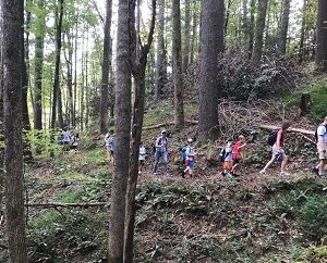 Nature Hike & Scouting Info Session @ Occoneechee Mountain State Natural Area