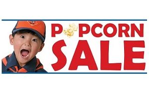 Virtual Eno River District Popcorn Kickoff Meeting