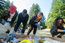 food drive