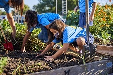 gardening