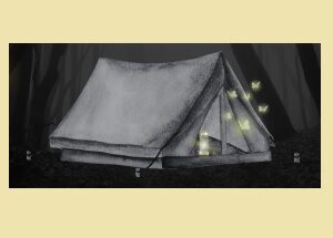 Occoneechee Council Cub Scout Spookoree @ Camp Durant