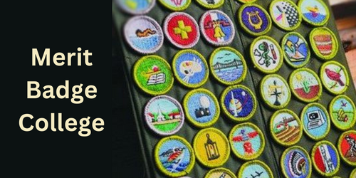 Merit Badge sash